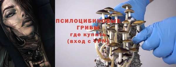 дживик Горно-Алтайск